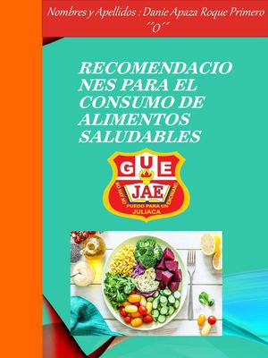 Cartilla De Recomendaciones De Danie Apaza Roque