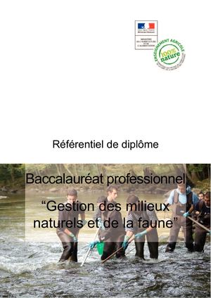 Bacpro Gmnf Referentiel De Formation