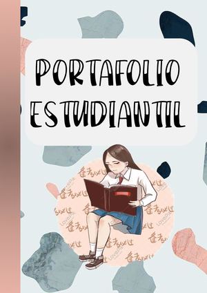 Portafolio-Narrativa