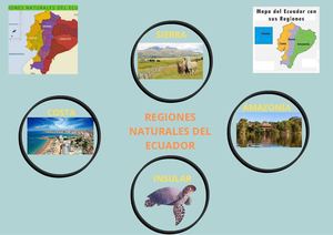 Regiones Naturales Del Ecuador