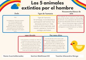 Los 5 Animales Extintios Por El Hombre