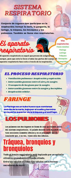 Infografia