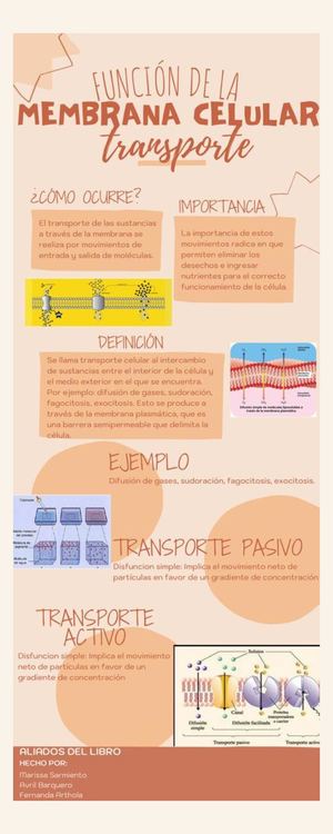 Funciones de la membrana celular.