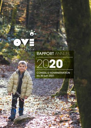 Rapport D'activité 2020 Fondation Ove