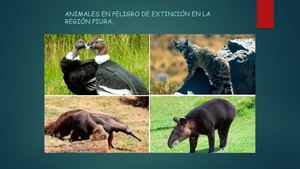 Animales En Peligro De Extincion