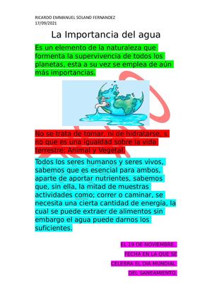 La Importancia Del Agua (Ensayo)