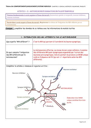 TSpé Th 3A2 Act3 Ci Cerveau Sommations Integration CORRIGE