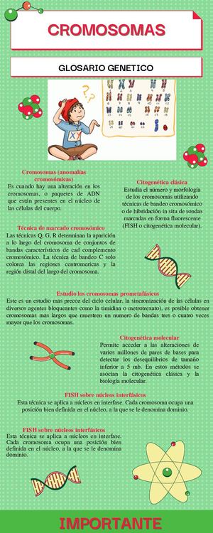Actv 6 Genética Grupo 2 Enfermedades Cromosomicas