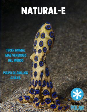 Pulpo de anillos azules