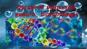 Органічні молекули Поняття про біологічні макромолекули – біополімери