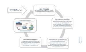 Infografia De Los Tipos De Fideicomiso Mercantil
