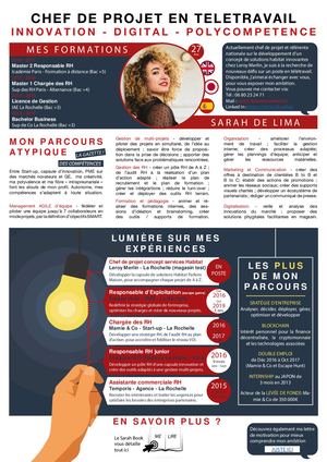 Cv 2021 Chef De Projet En Télétravail