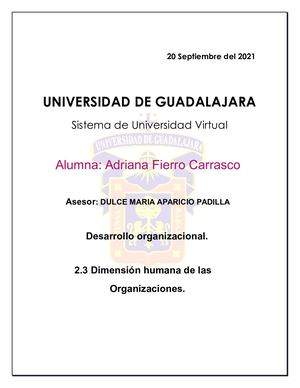 2 3 Dimensión Humana De Las Organizaciones