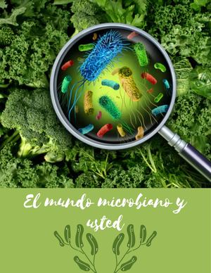 El Mundo Microbiano Y Usted