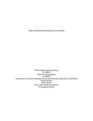 Mapa Conceptual Sobre Protistas Y Sus Funciones