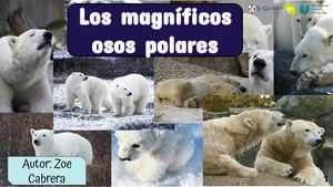 Zoe Yaiza Cabrera Reyna