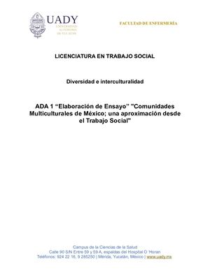 Ensayo Multiculturalidad