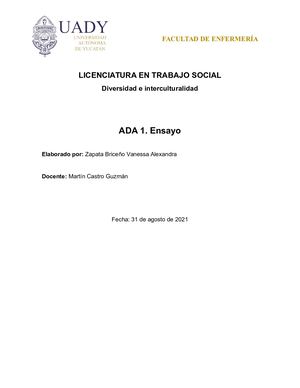 Ensayo Diversidad Cultural