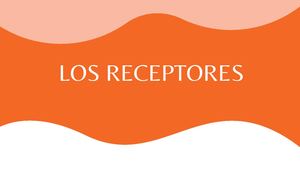 Receptores (Tirado Benavides Fatima Estela) 4to De Secundaria