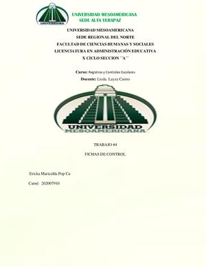 Fichas De Control