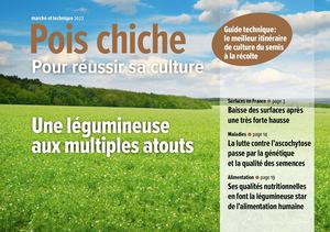 Semences de Provence - Pois Chiche 2022