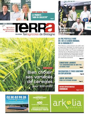 Terra N°813 Édition Morbihan