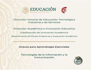 Anexos Tic 2021