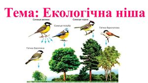 Екологічна ниша