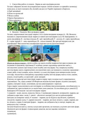 Самостійна робота зі схемою