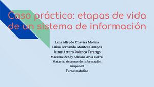 caso practico: etapas de la vida de el sistema de información