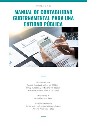 Manual De Contabilidad Gubernamental Para Una Entidad Pública