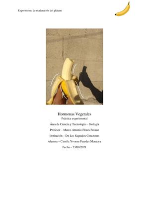 Experimento de Maduración de Plátano