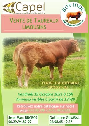 Bovidoc - Vente taureaux limousins Saint-Jal 2021