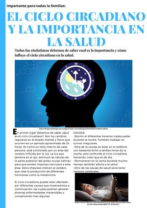 El Ciclo Circadiano Y La Importancia En La Salud (1)