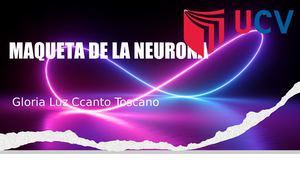 Maqueta De La Neurona