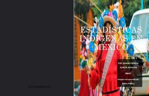 Estadísticas Indígenas En México