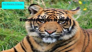 Mariano Antonio Chavez Morales - Miss Rosita - Formato De Escritura - Texto Expositivo