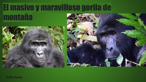 Sofia Oyarzo Fuentes