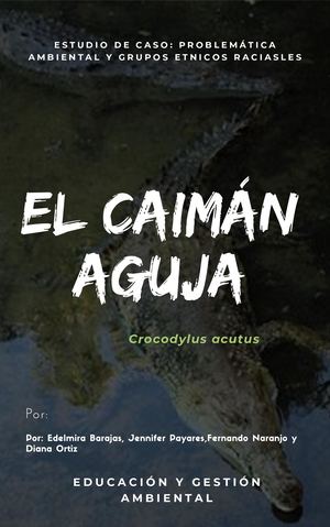 El Caiman Aguja