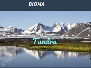Biomas De América: Tundra