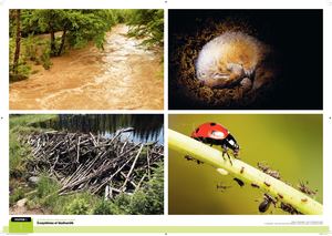 5360 - Sciences Et Technologie - Posters