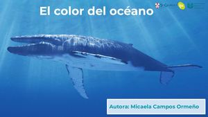 Micaela Vanessa Campos Ormeño