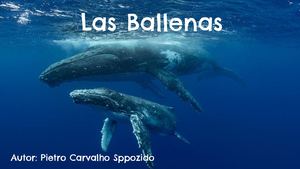 Pietro Carvalho Sppozido