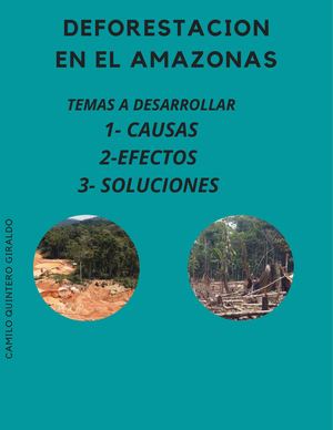 DEFORESTACION, BASURA TECNOLOGICA, CALENTAMIENTO GLOBAL