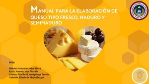 Manual Industrias Lacteas