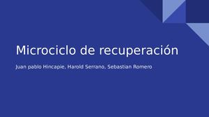 Microciclo De Recuperacion