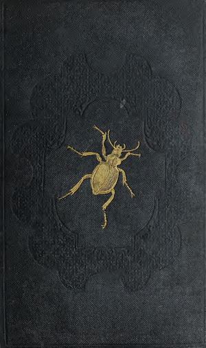 A Manual Of British Coleoptera Or Beetles