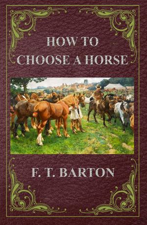 How To Choose A Horse Ocg Nfg