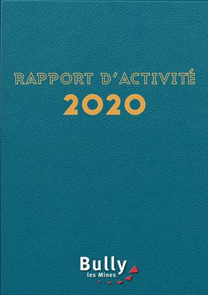 Rapport d'activité 2020
