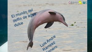 El Mundo Del Delfín De Agua Dulce